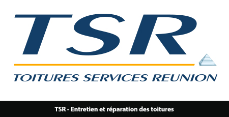 TSR - Entretiens et réparations des toitures